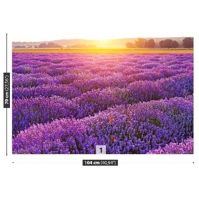 Mural de parede Campo de lavanda