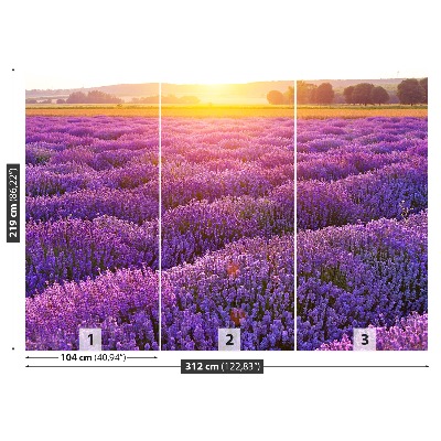 Mural de parede Campo de lavanda