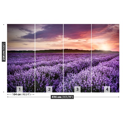 Papel de parede Campo de lavanda