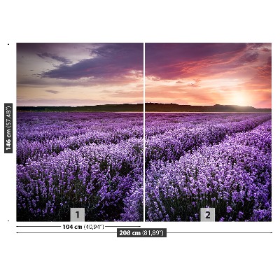 Papel de parede Campo de lavanda