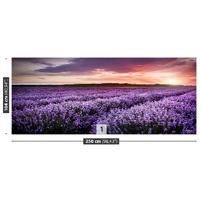 Papel de parede Campo de lavanda