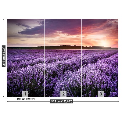 Papel de parede Campo de lavanda