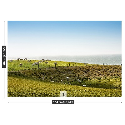 Mural de parede Vacas no pasto