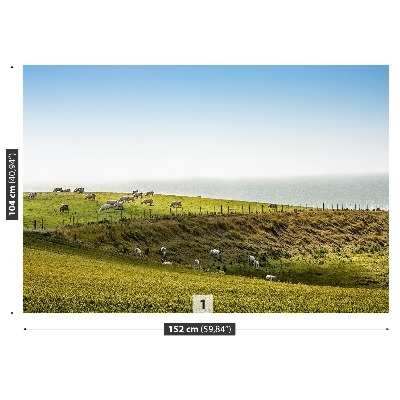 Mural de parede Vacas no pasto