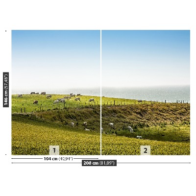Mural de parede Vacas no pasto