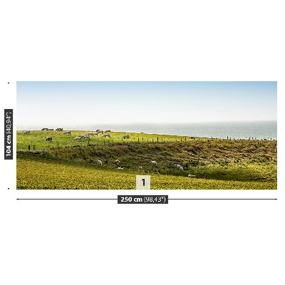 Mural de parede Vacas no pasto