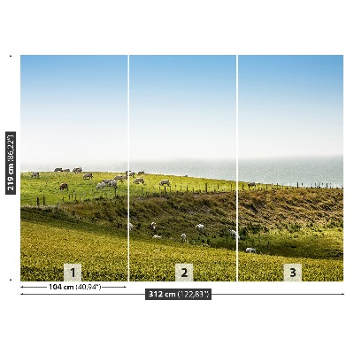 Mural de parede Vacas no pasto