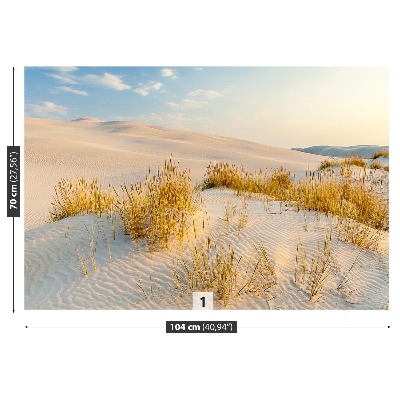 Papel de parede Dunas do Mar Báltico