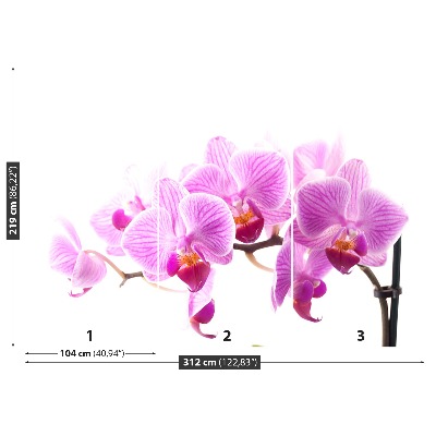 Papel de parede orquídea rosa