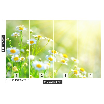 Mural de parede Margaridas