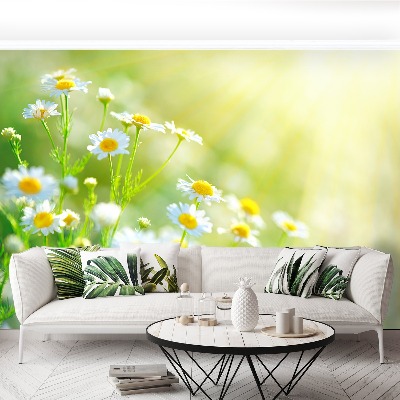 Mural de parede Margaridas