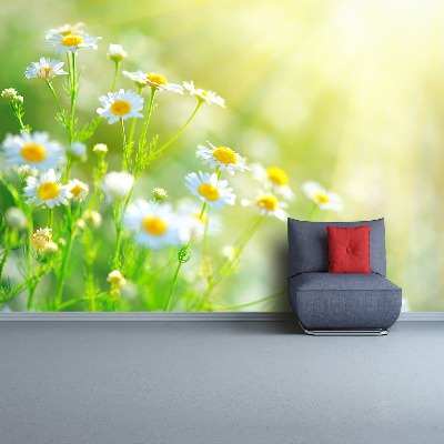 Mural de parede Margaridas