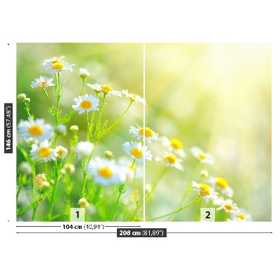 Mural de parede Margaridas