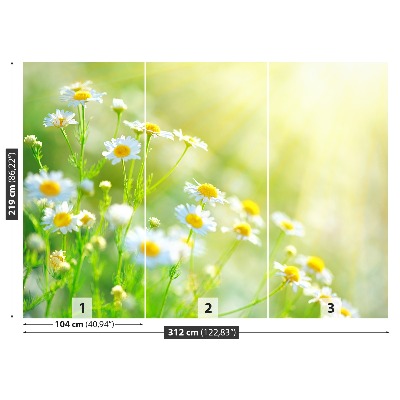 Mural de parede Margaridas