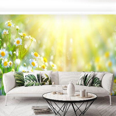 Papel de parede Flores de camomila