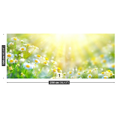 Papel de parede Flores de camomila