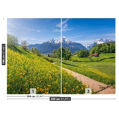 Papel de parede Alpes Idílicos