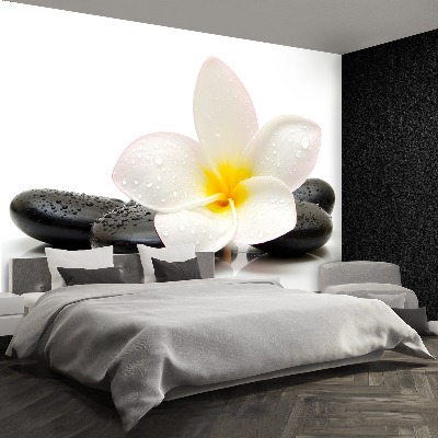 Mural de parede Pedras de Plumeria