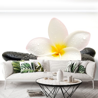 Mural de parede Pedras de Plumeria