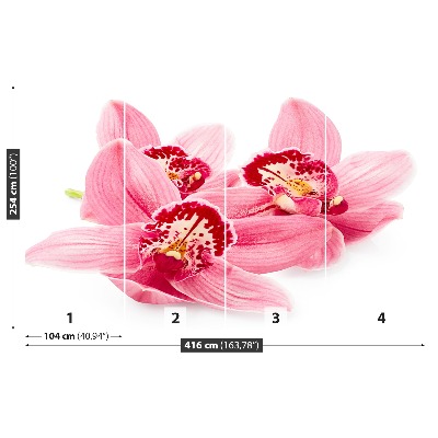 Papel de parede orquídea rosa