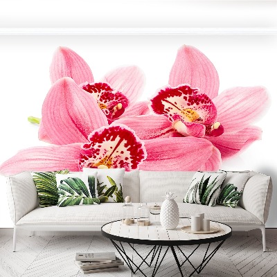 Papel de parede orquídea rosa