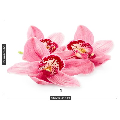 Papel de parede orquídea rosa