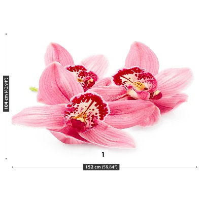Papel de parede orquídea rosa