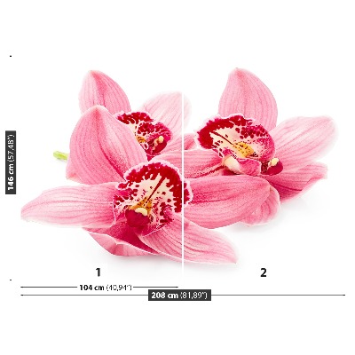 Papel de parede orquídea rosa