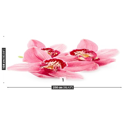 Papel de parede orquídea rosa