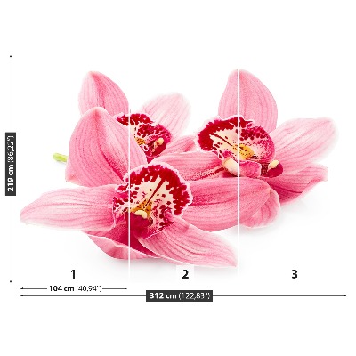 Papel de parede orquídea rosa