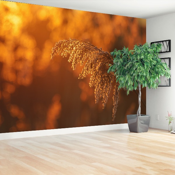 Mural de parede Laranja-junco