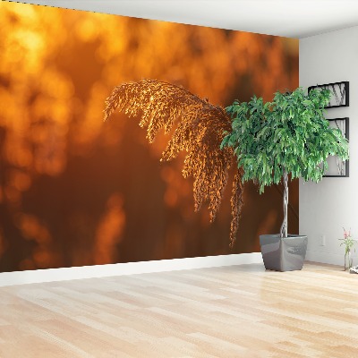 Mural de parede Laranja-junco