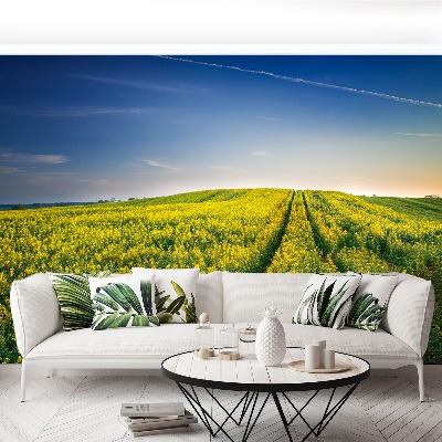 Mural de parede Campos de colza