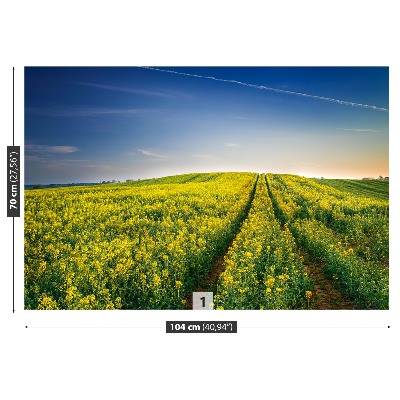 Mural de parede Campos de colza