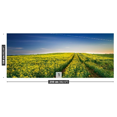 Mural de parede Campos de colza