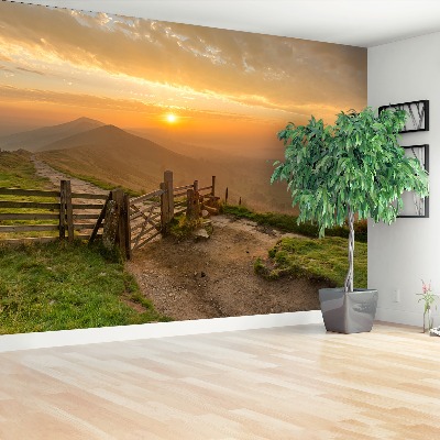 Papel de parede nascer do sol dourado