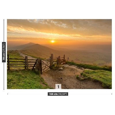 Papel de parede nascer do sol dourado