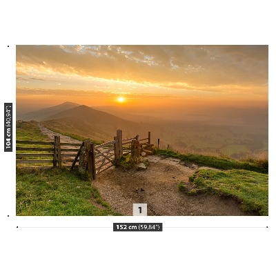 Papel de parede nascer do sol dourado