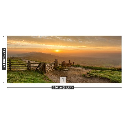 Papel de parede nascer do sol dourado