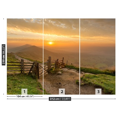 Papel de parede nascer do sol dourado