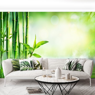 Mural de parede Água de Bambu