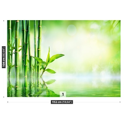 Mural de parede Água de Bambu