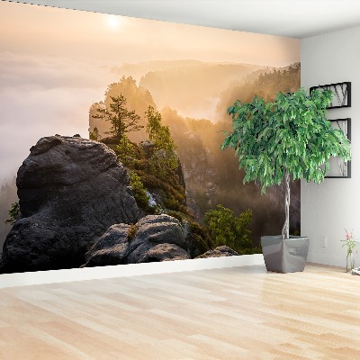 Mural de parede Rocha de arenito