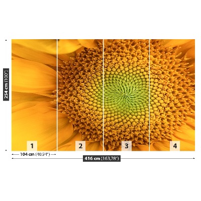 Papel de parede Girassol