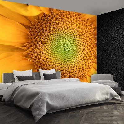 Papel de parede Girassol