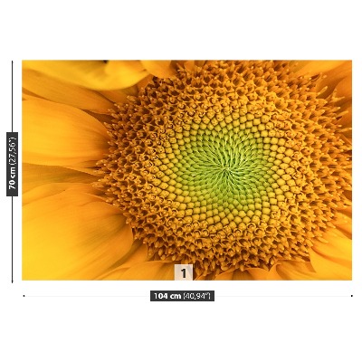 Papel de parede Girassol