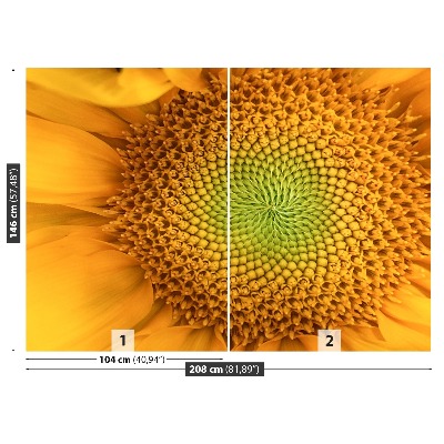 Papel de parede Girassol