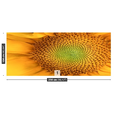 Papel de parede Girassol