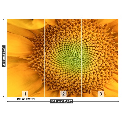 Papel de parede Girassol