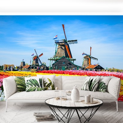 Papel de parede Tulipas Moinhos de Vento
